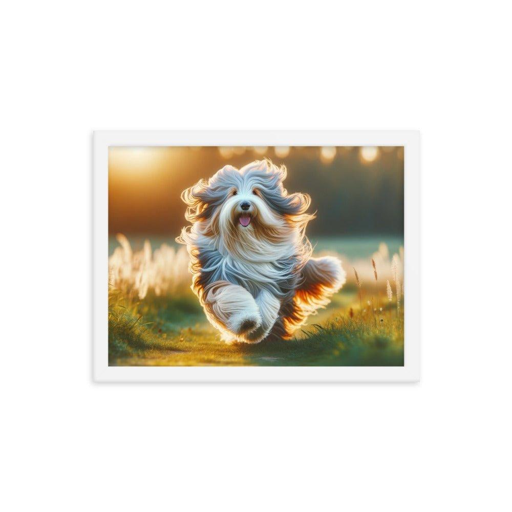 Bearded Collie's Joyful Run Grassy Field Photo Framed Poster - Oh Posters