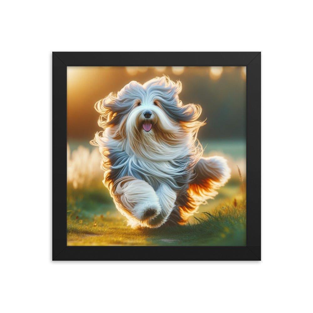 Bearded Collie's Joyful Run Grassy Field Photo Framed Poster - Oh Posters