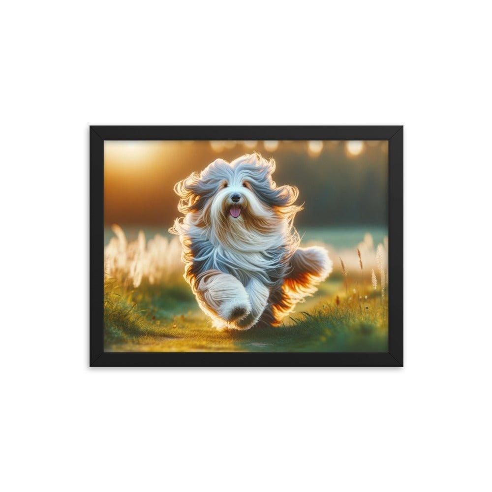 Bearded Collie's Joyful Run Grassy Field Photo Framed Poster - Oh Posters