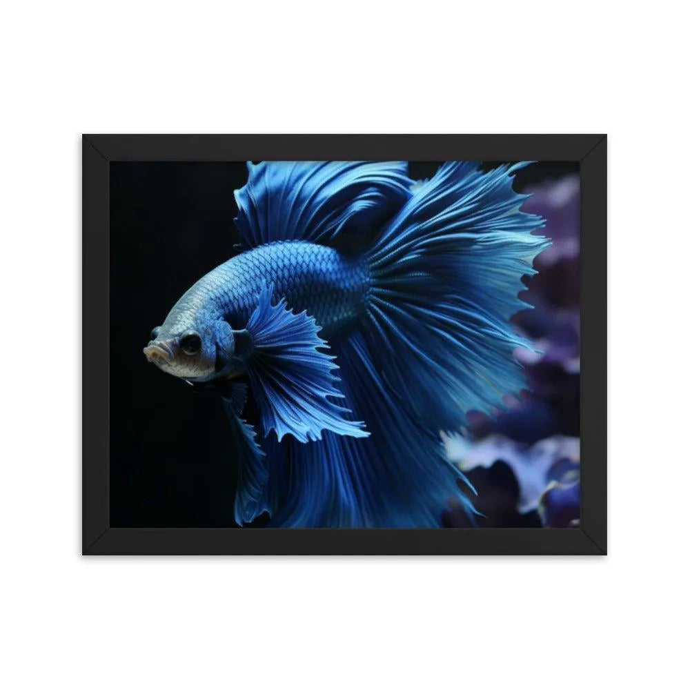 Blue Betta Fish Framed Poster - Oh Posters