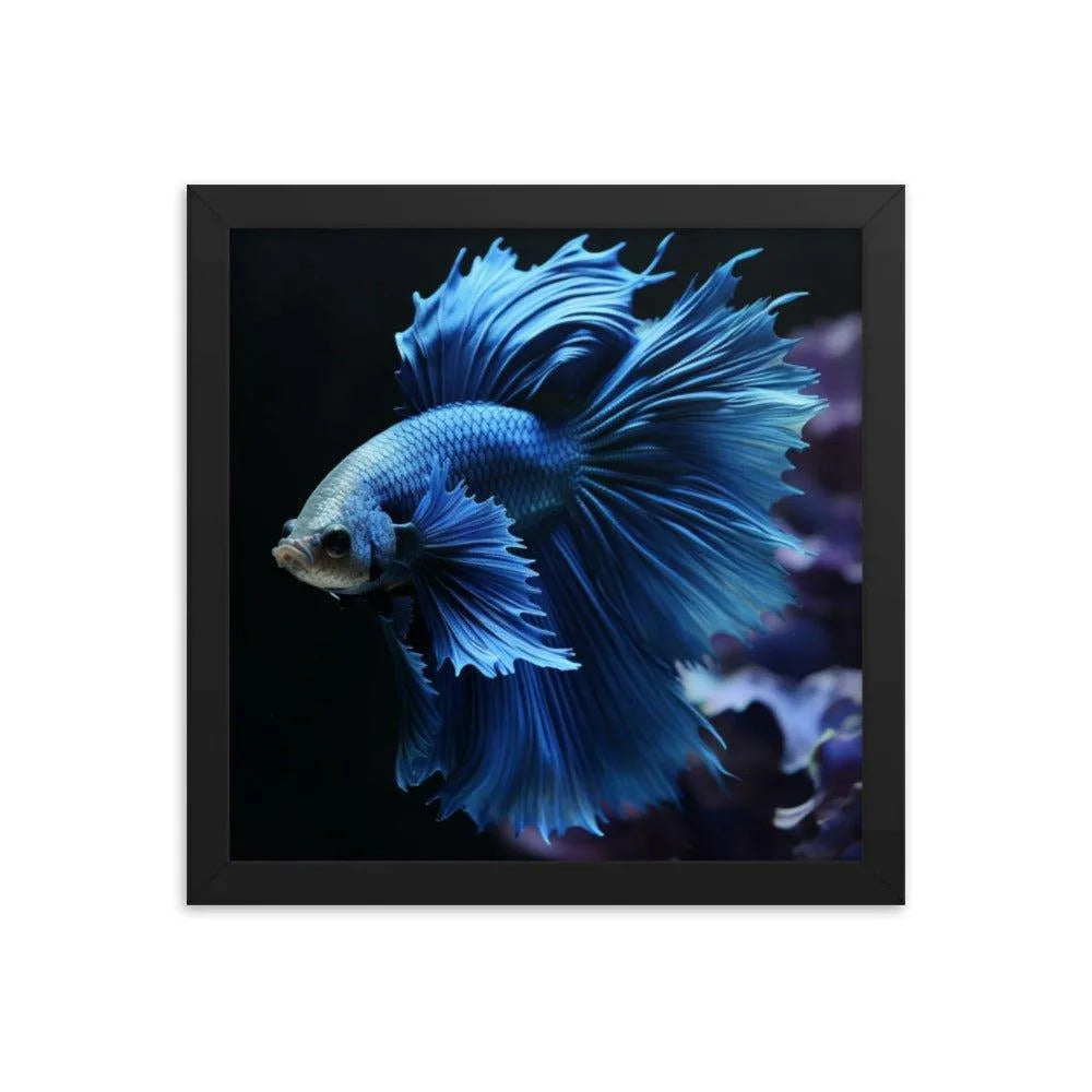 Blue Betta Fish Framed Poster - Oh Posters