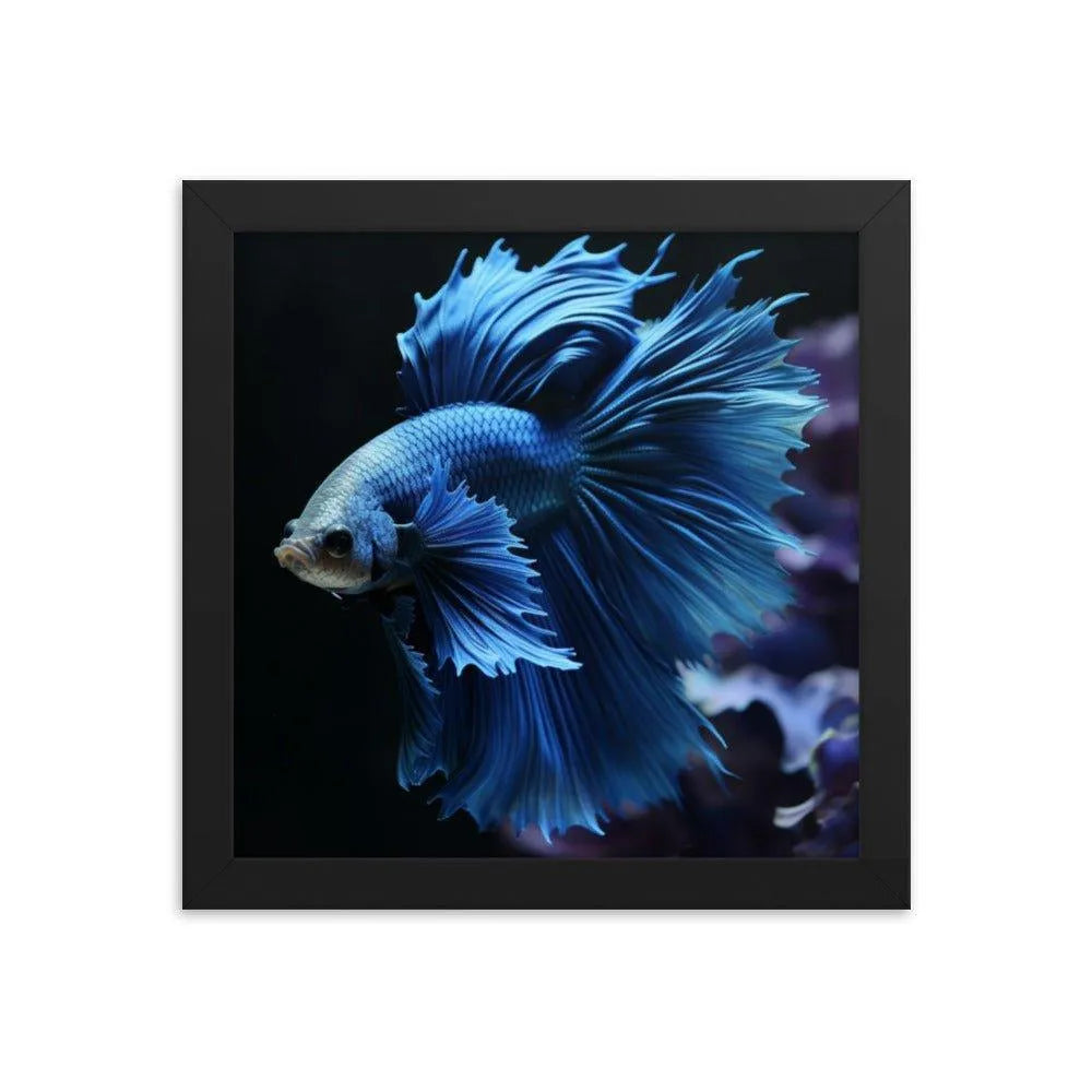 Blue Betta Fish Framed Poster - Oh Posters