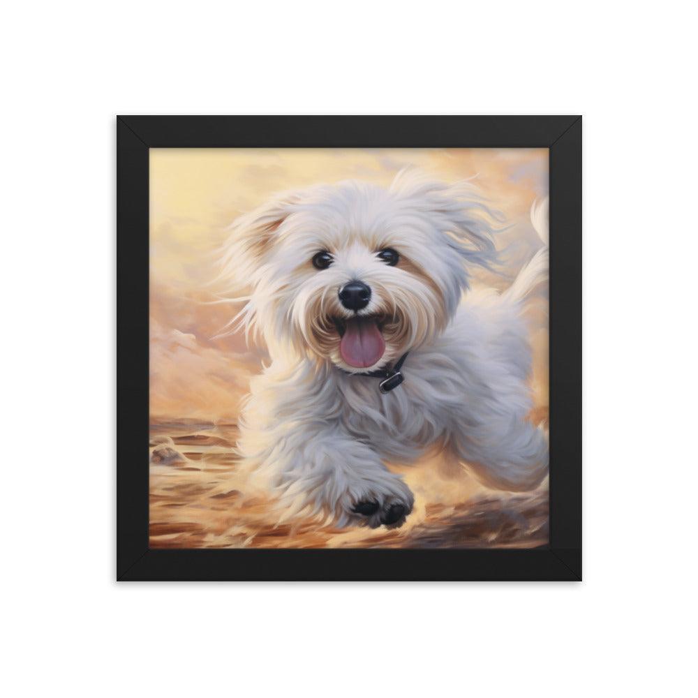 Coton De Tulear Joyful Sunset Frolic Framed Poster - Oh Posters