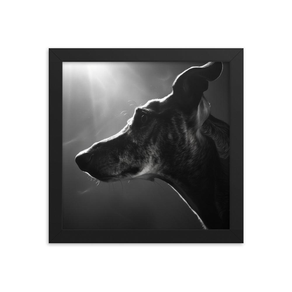 Greyhound Dramatic Black and White Lighting Framed Poster - Oh Posters