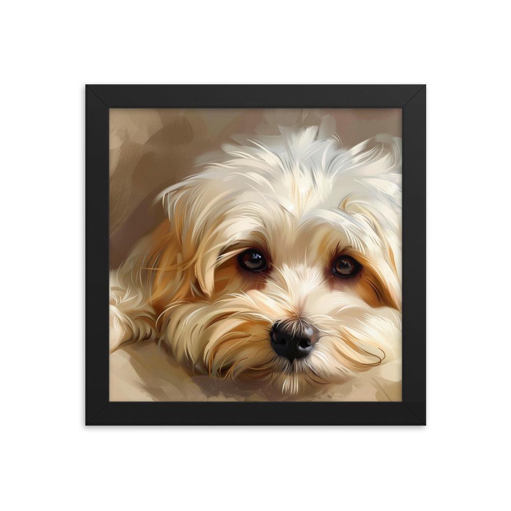 Havanese Puppy Resting Digital Painting Framed Poster - Oh Posters