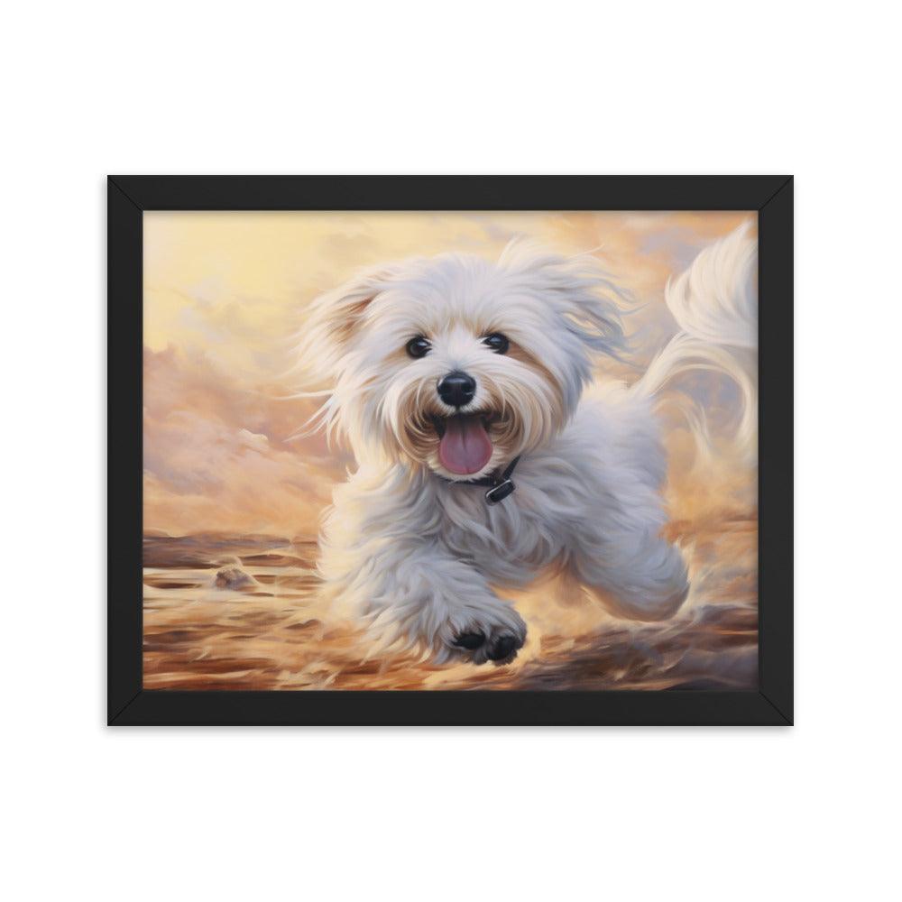 Coton De Tulear Joyful Sunset Frolic Framed Poster - Oh Posters