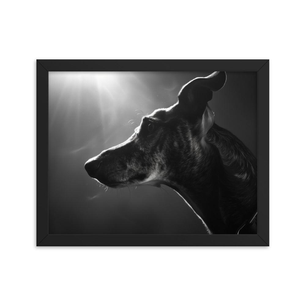 Greyhound Dramatic Black and White Lighting Framed Poster - Oh Posters