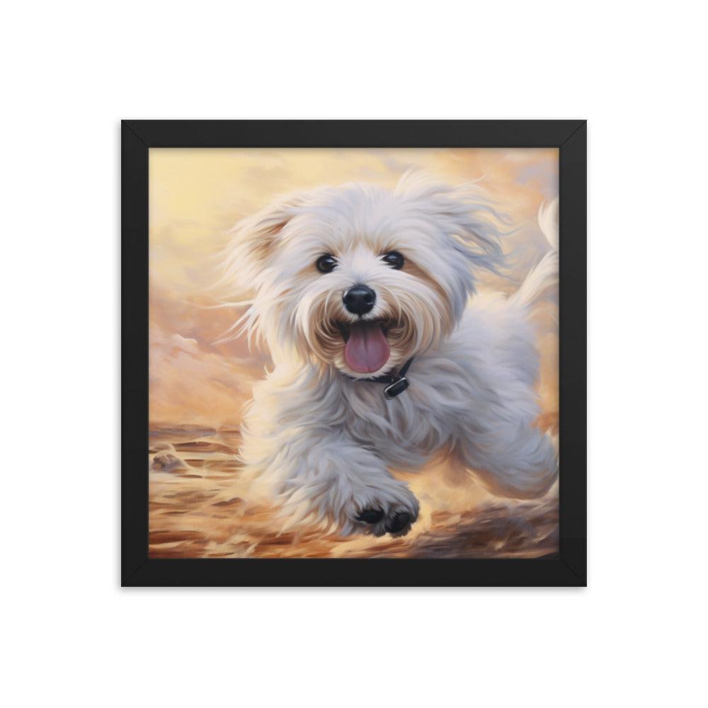 Coton De Tulear Joyful Sunset Frolic Framed Poster - Oh Posters