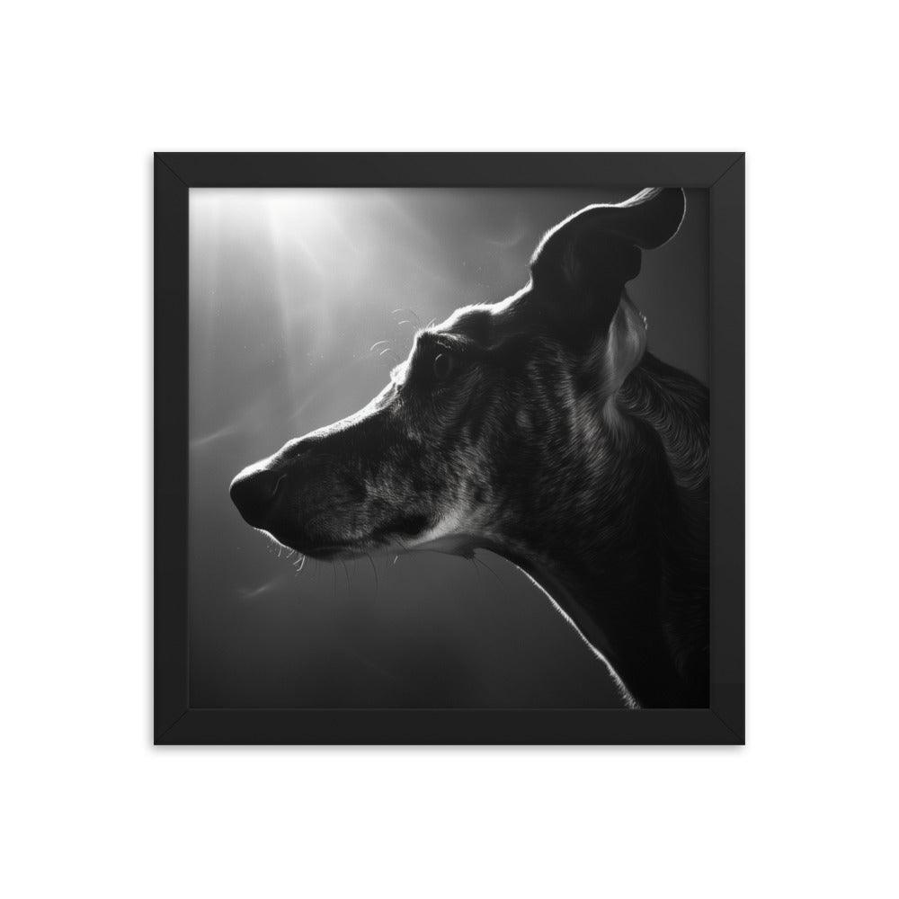 Greyhound Dramatic Black and White Lighting Framed Poster - Oh Posters