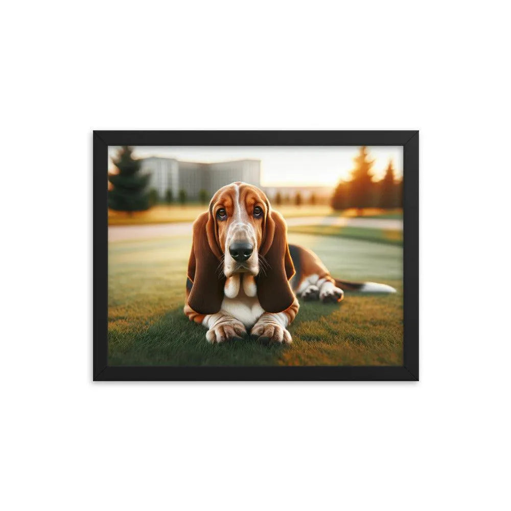 Gentle Basset Hound in Grassy Field Photo Framed Poster - Oh Posters