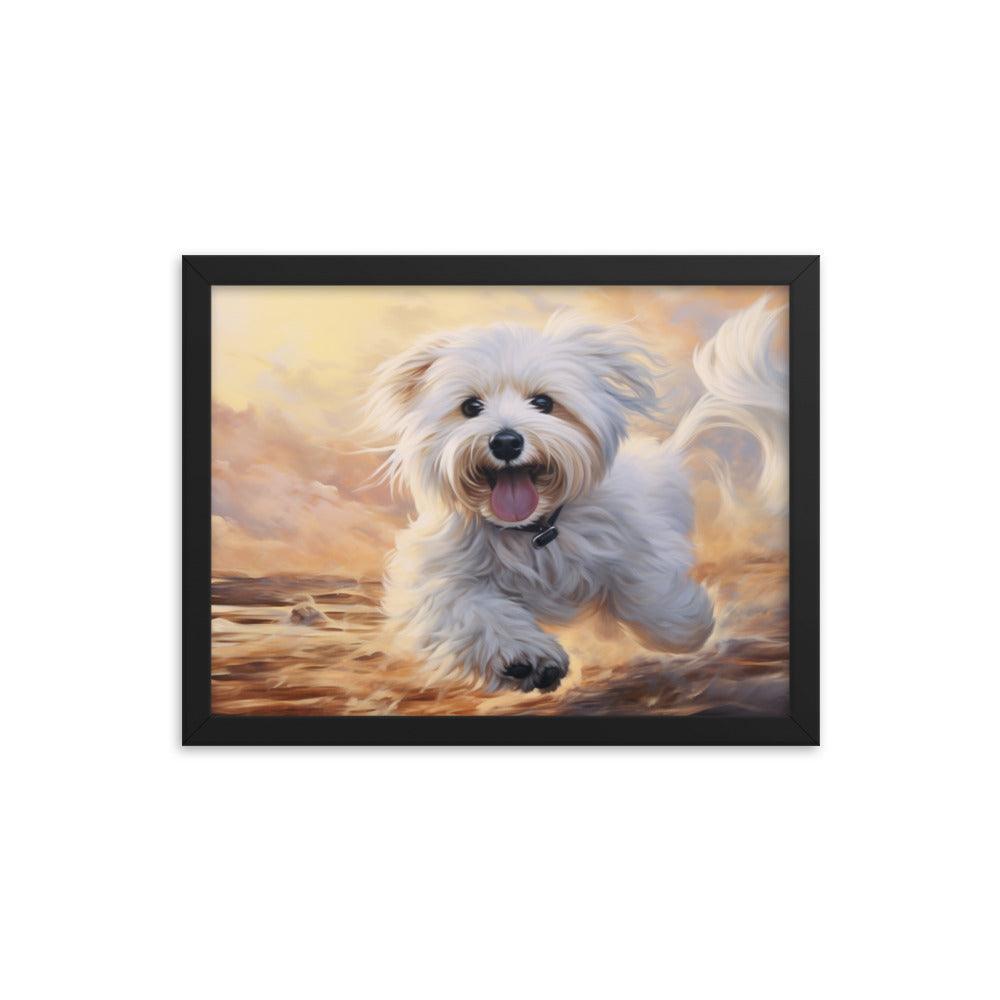 Coton De Tulear Joyful Sunset Frolic Framed Poster - Oh Posters