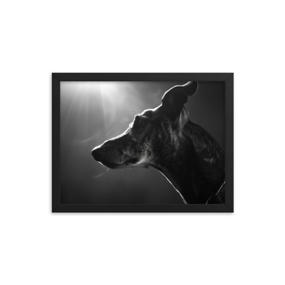 Greyhound Dramatic Black and White Lighting Framed Poster - Oh Posters