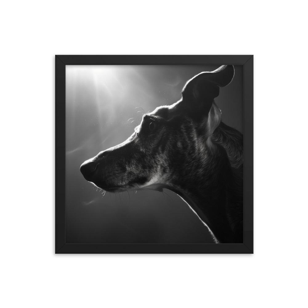 Greyhound Dramatic Black and White Lighting Framed Poster - Oh Posters