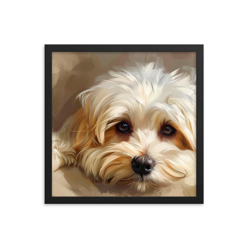 Havanese Puppy Resting Digital Painting Framed Poster - Oh Posters