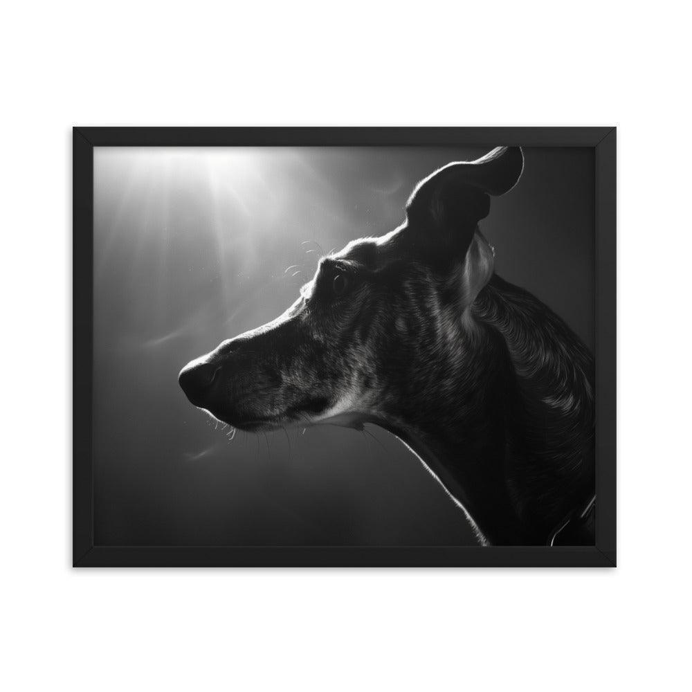 Greyhound Dramatic Black and White Lighting Framed Poster - Oh Posters