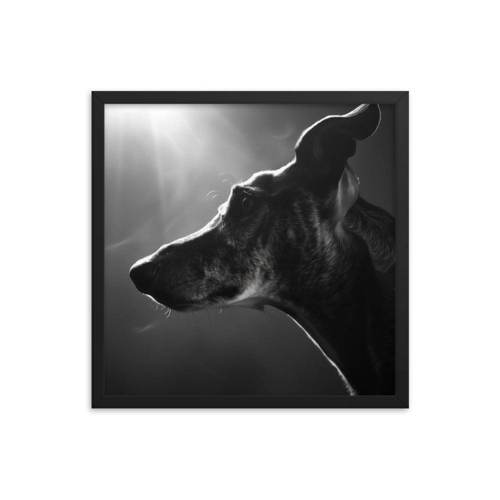 Greyhound Dramatic Black and White Lighting Framed Poster - Oh Posters