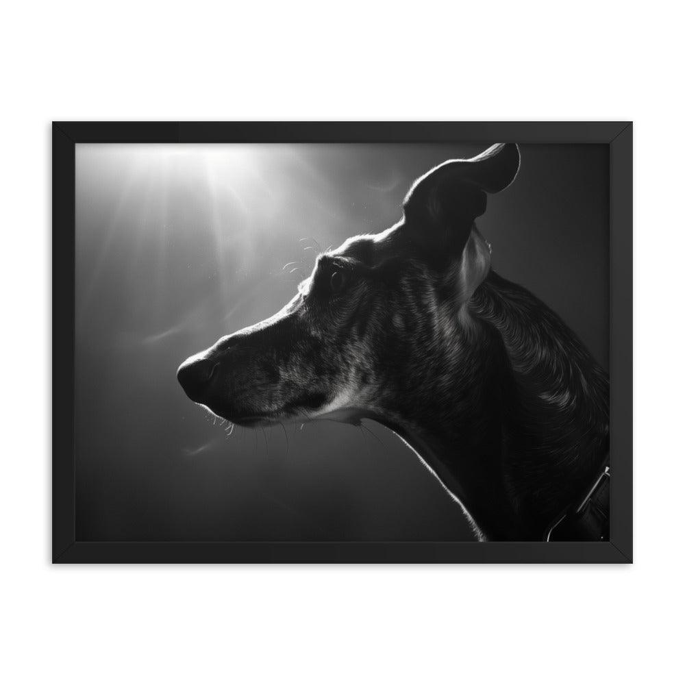 Greyhound Dramatic Black and White Lighting Framed Poster - Oh Posters