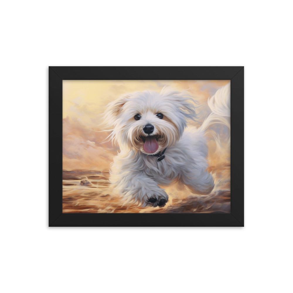 Coton De Tulear Joyful Sunset Frolic Framed Poster - Oh Posters