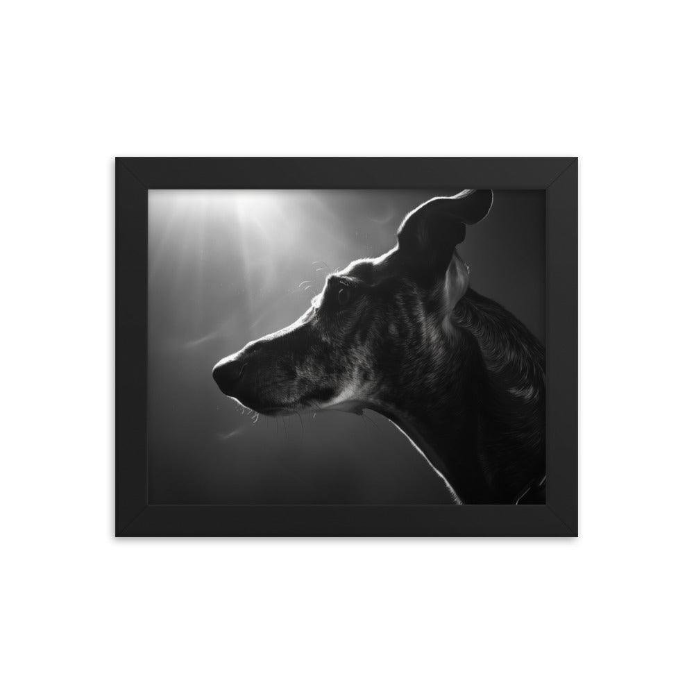 Greyhound Dramatic Black and White Lighting Framed Poster - Oh Posters