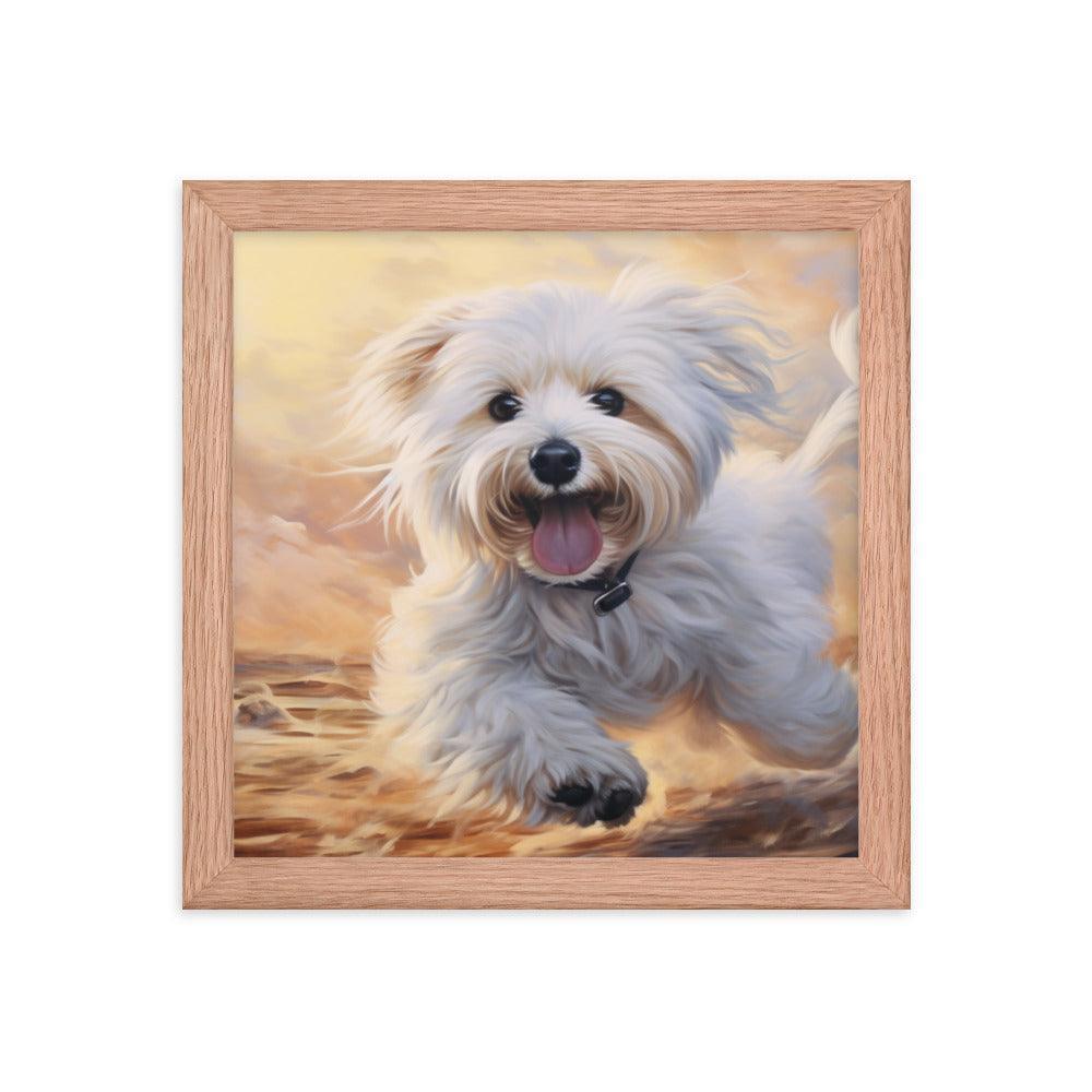 Coton De Tulear Joyful Sunset Frolic Framed Poster - Oh Posters