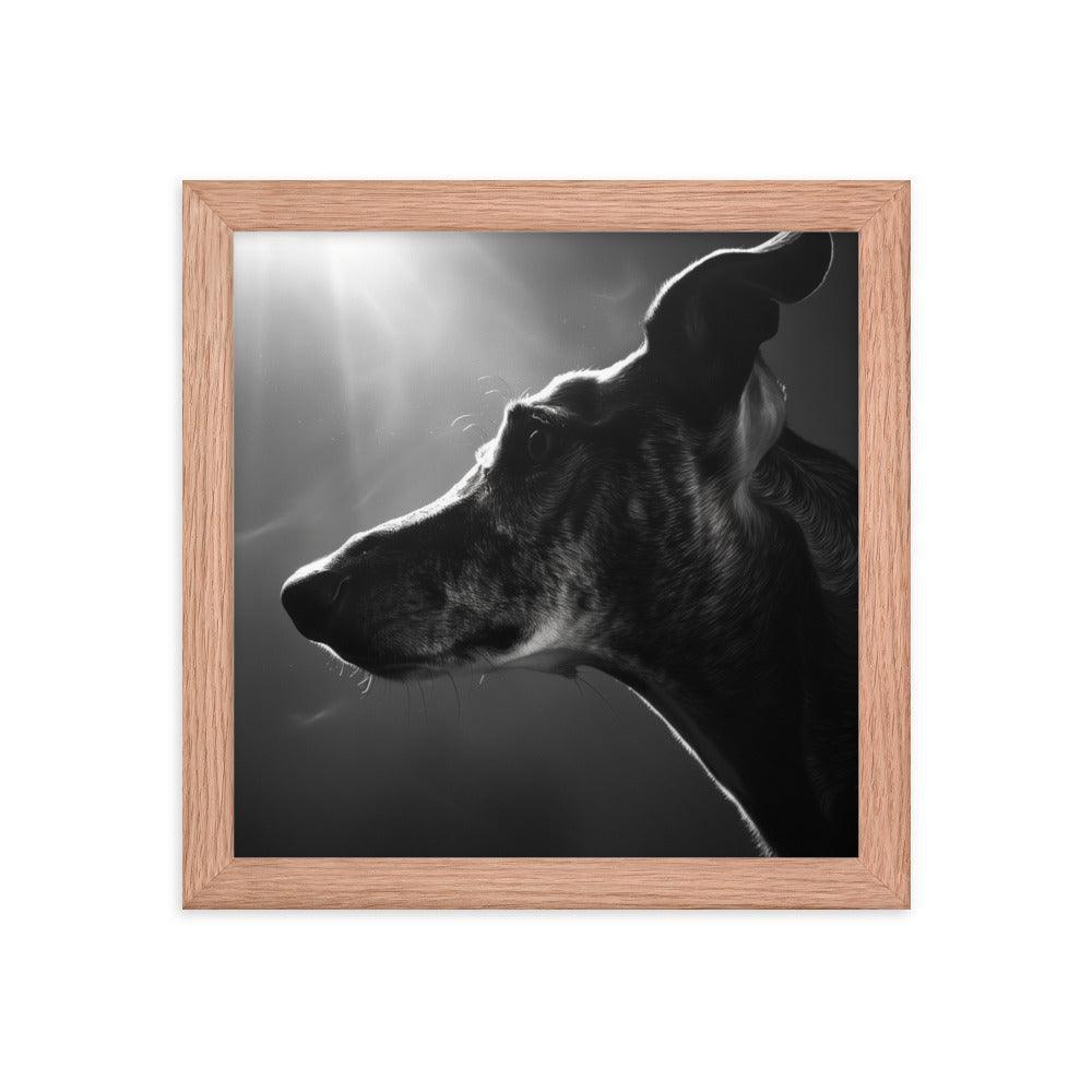 Greyhound Dramatic Black and White Lighting Framed Poster - Oh Posters