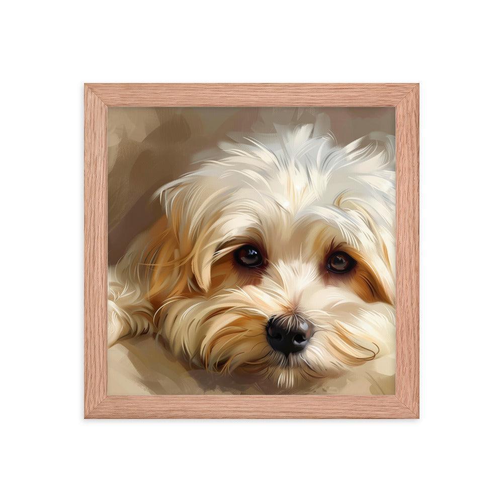 Havanese Puppy Resting Digital Painting Framed Poster - Oh Posters