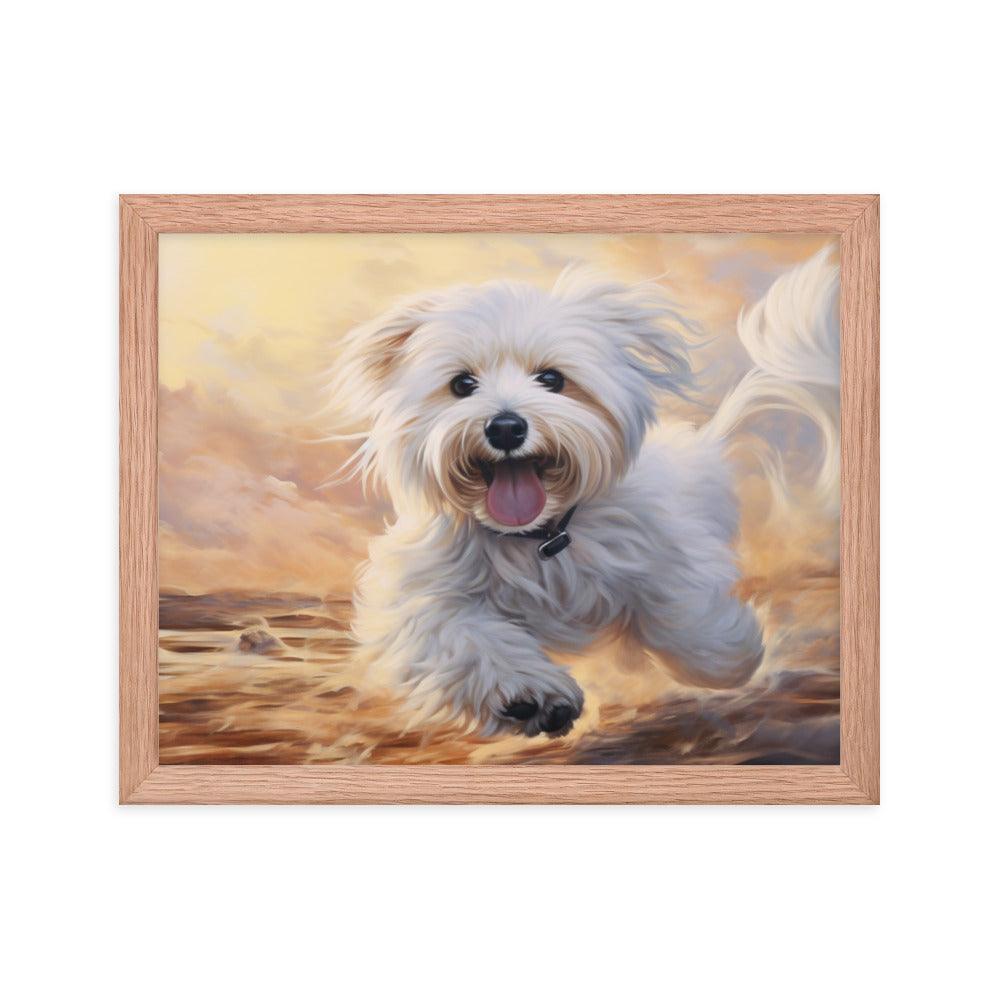 Coton De Tulear Joyful Sunset Frolic Framed Poster - Oh Posters