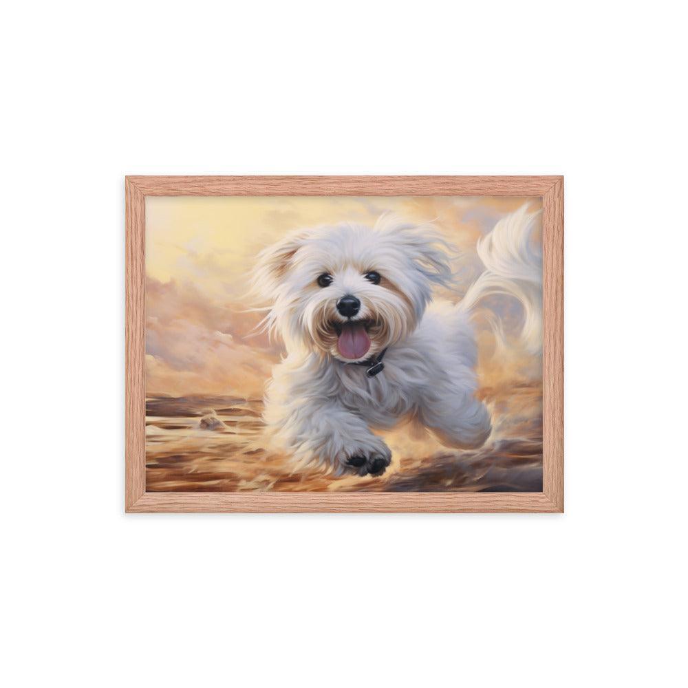 Coton De Tulear Joyful Sunset Frolic Framed Poster - Oh Posters