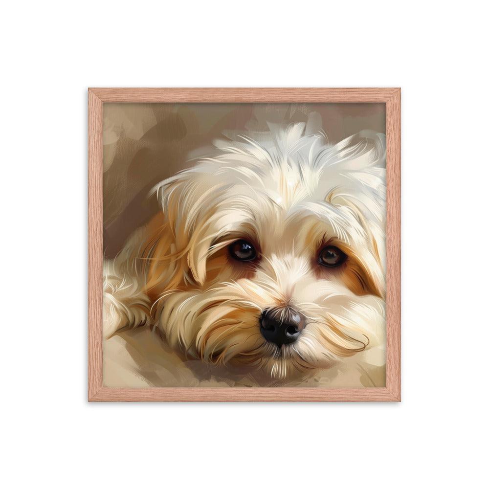 Havanese Puppy Resting Digital Painting Framed Poster - Oh Posters