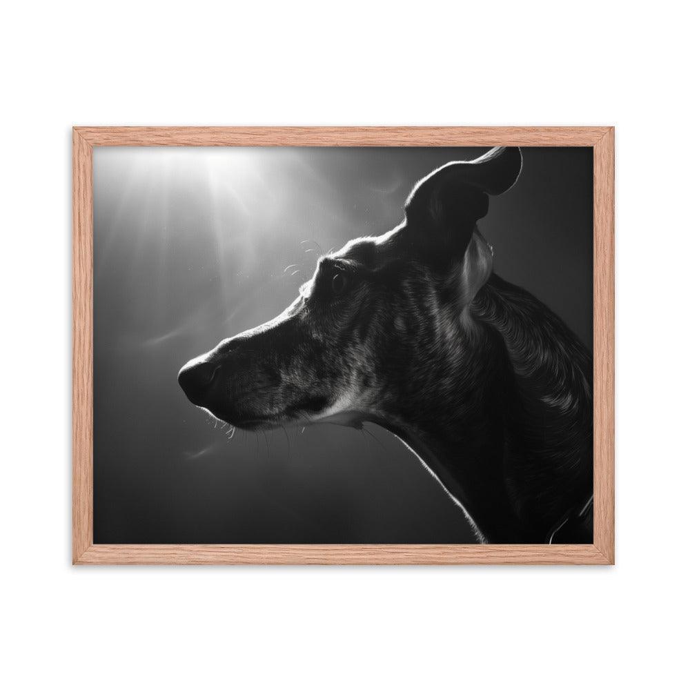 Greyhound Dramatic Black and White Lighting Framed Poster - Oh Posters