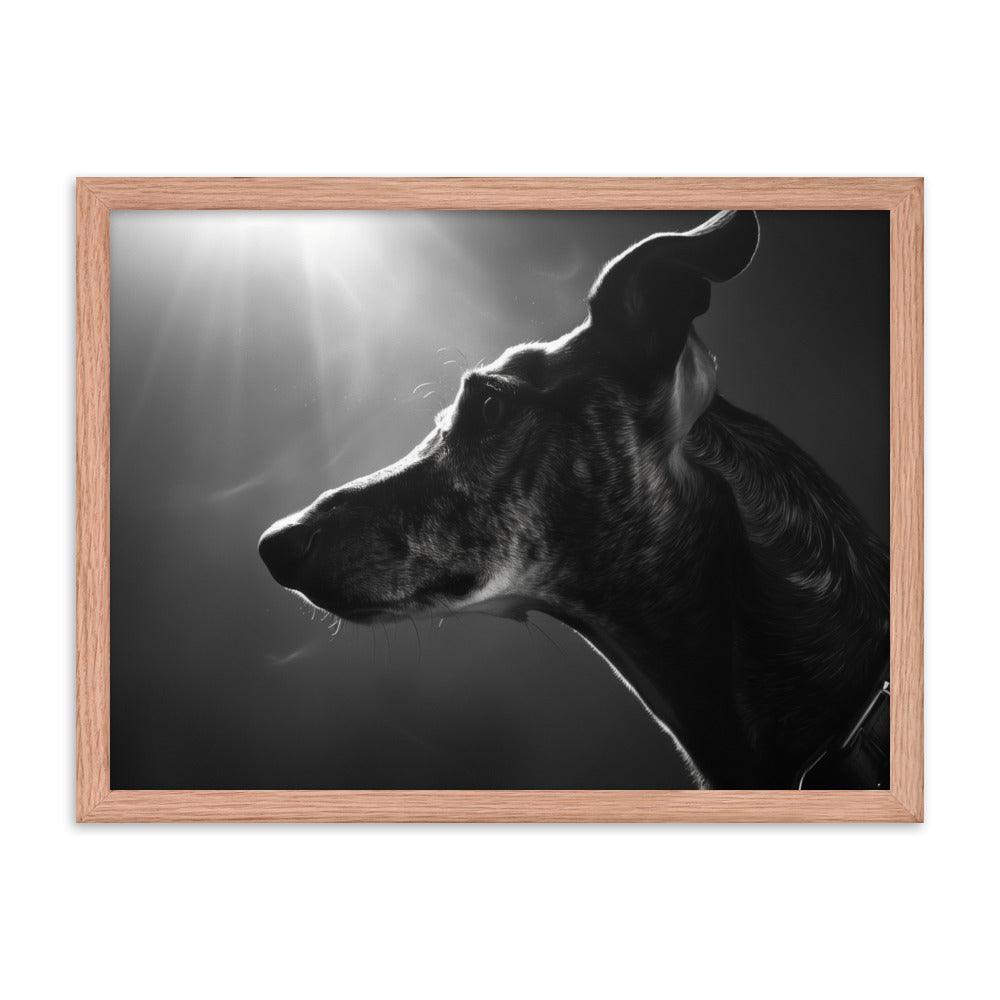 Greyhound Dramatic Black and White Lighting Framed Poster - Oh Posters