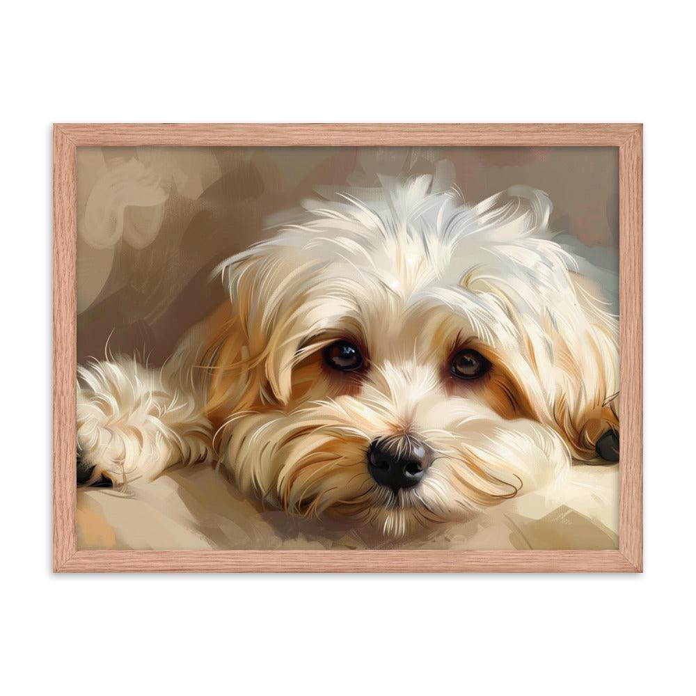 Havanese Puppy Resting Digital Painting Framed Poster - Oh Posters