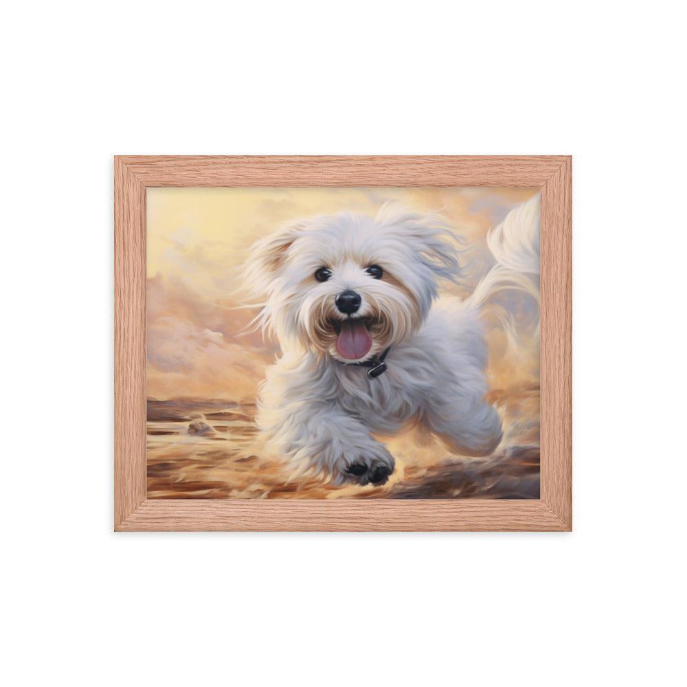 Coton De Tulear Joyful Sunset Frolic Framed Poster - Oh Posters