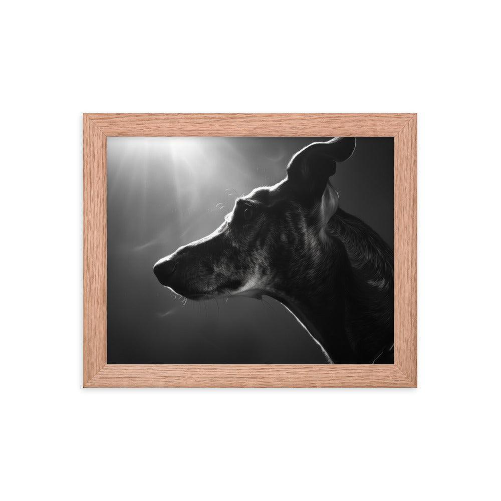 Greyhound Dramatic Black and White Lighting Framed Poster - Oh Posters