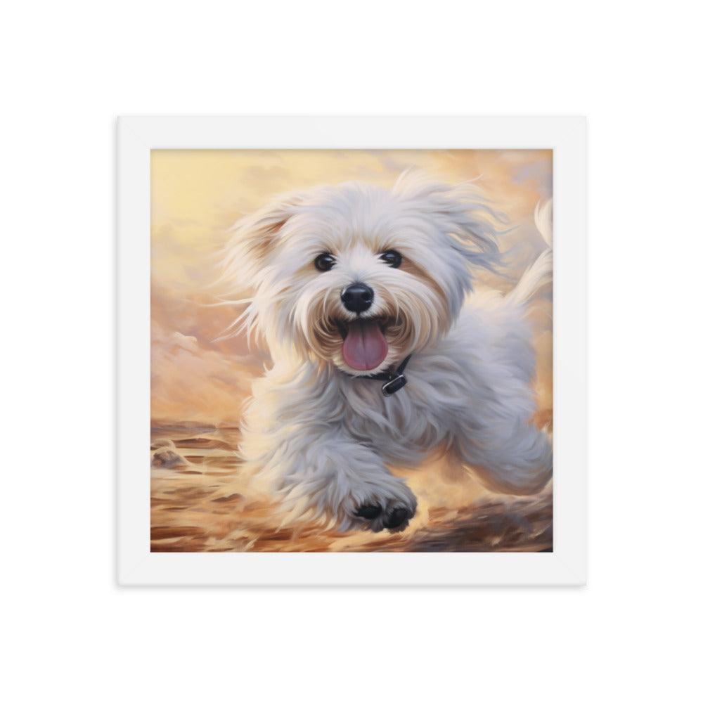 Coton De Tulear Joyful Sunset Frolic Framed Poster - Oh Posters