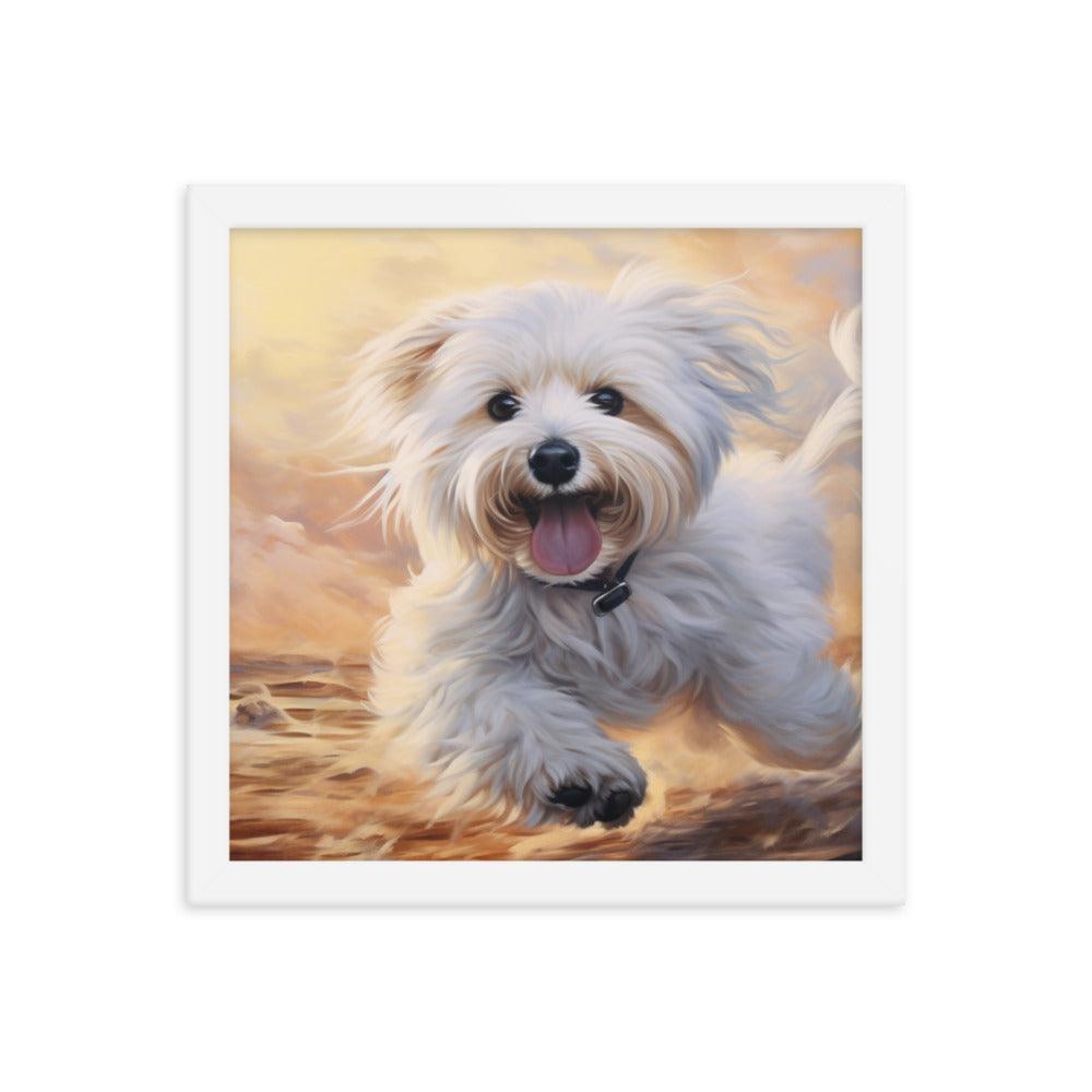 Coton De Tulear Joyful Sunset Frolic Framed Poster - Oh Posters