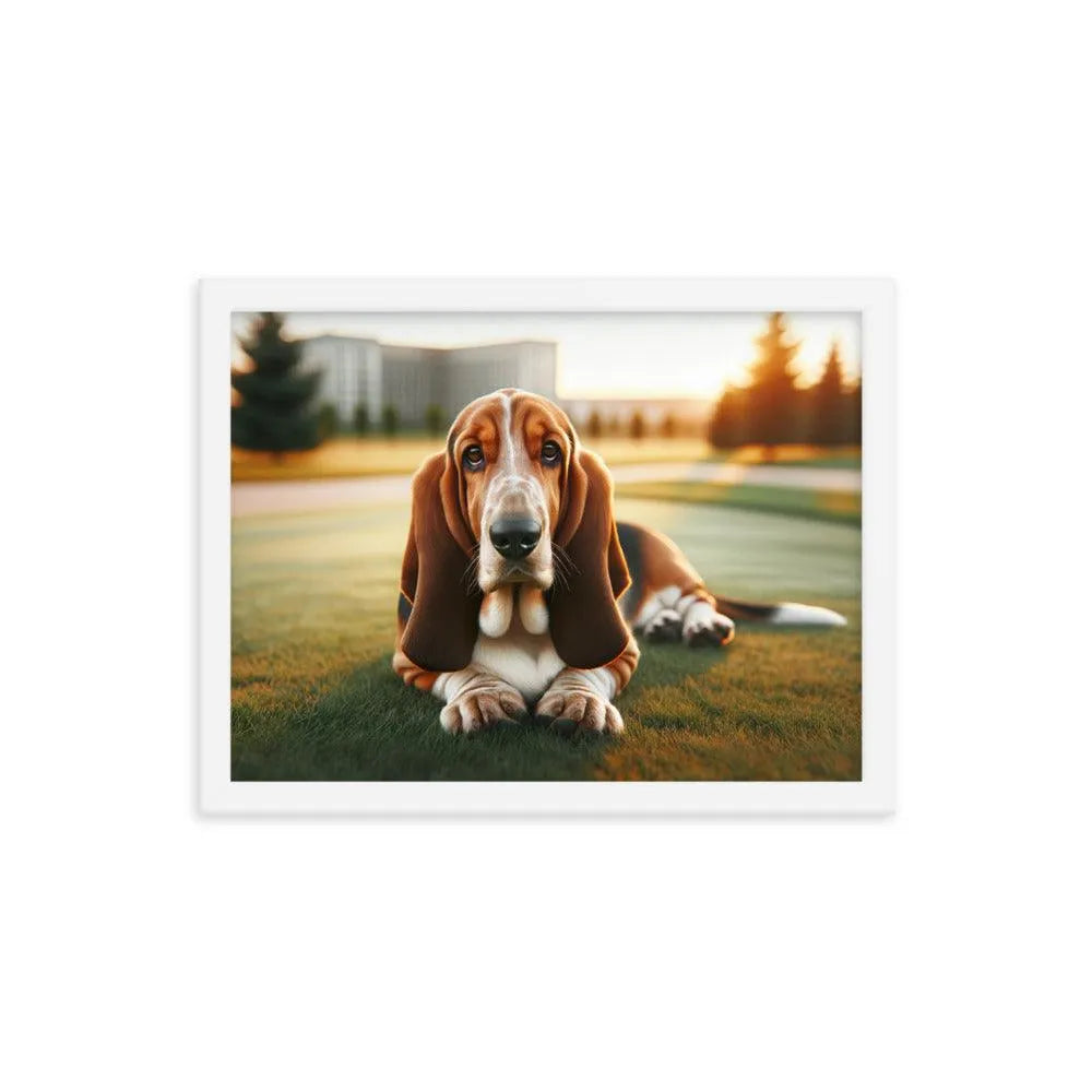 Gentle Basset Hound in Grassy Field Photo Framed Poster - Oh Posters