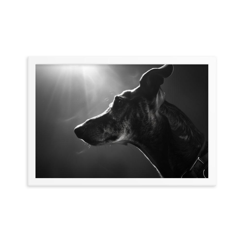 Greyhound Dramatic Black and White Lighting Framed Poster - Oh Posters