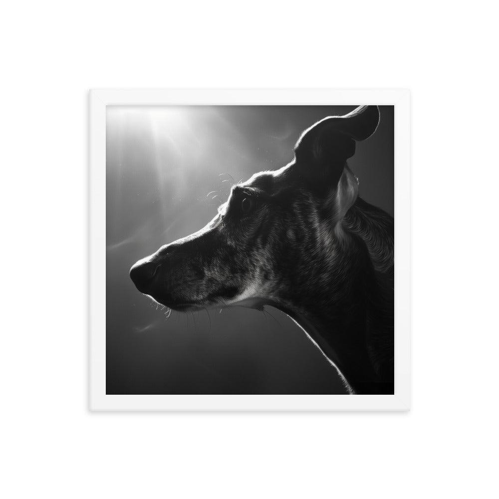 Greyhound Dramatic Black and White Lighting Framed Poster - Oh Posters