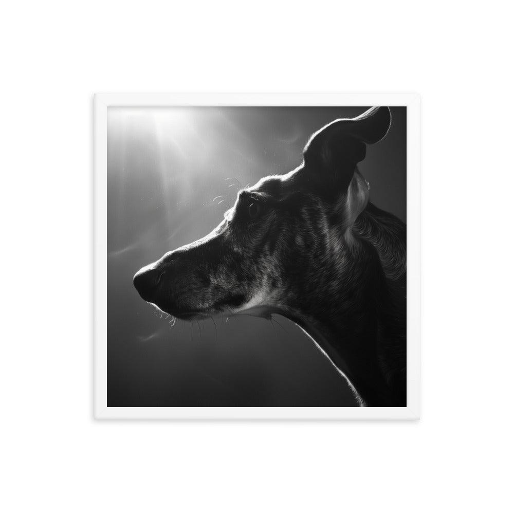 Greyhound Dramatic Black and White Lighting Framed Poster - Oh Posters