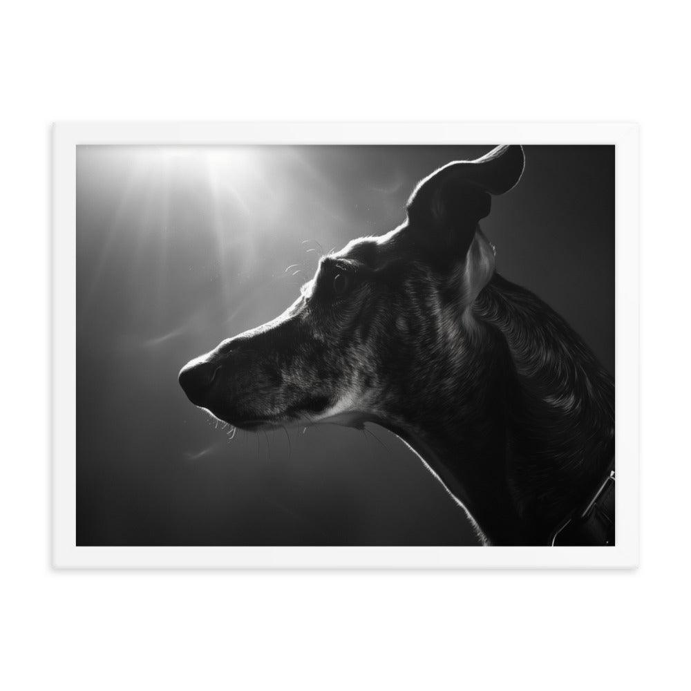 Greyhound Dramatic Black and White Lighting Framed Poster - Oh Posters