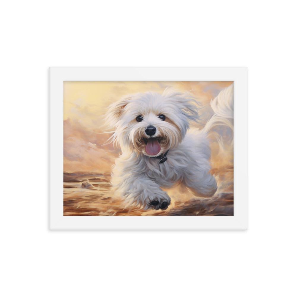 Coton De Tulear Joyful Sunset Frolic Framed Poster - Oh Posters