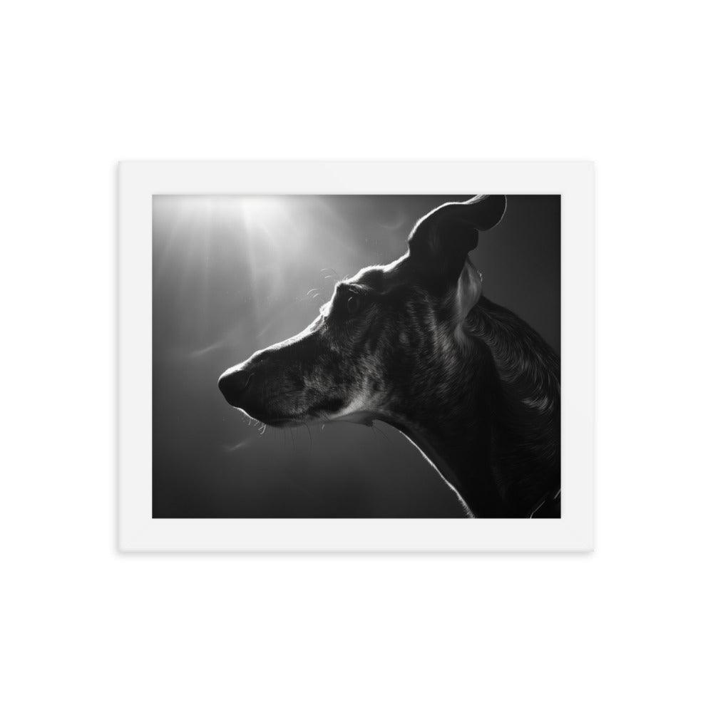 Greyhound Dramatic Black and White Lighting Framed Poster - Oh Posters