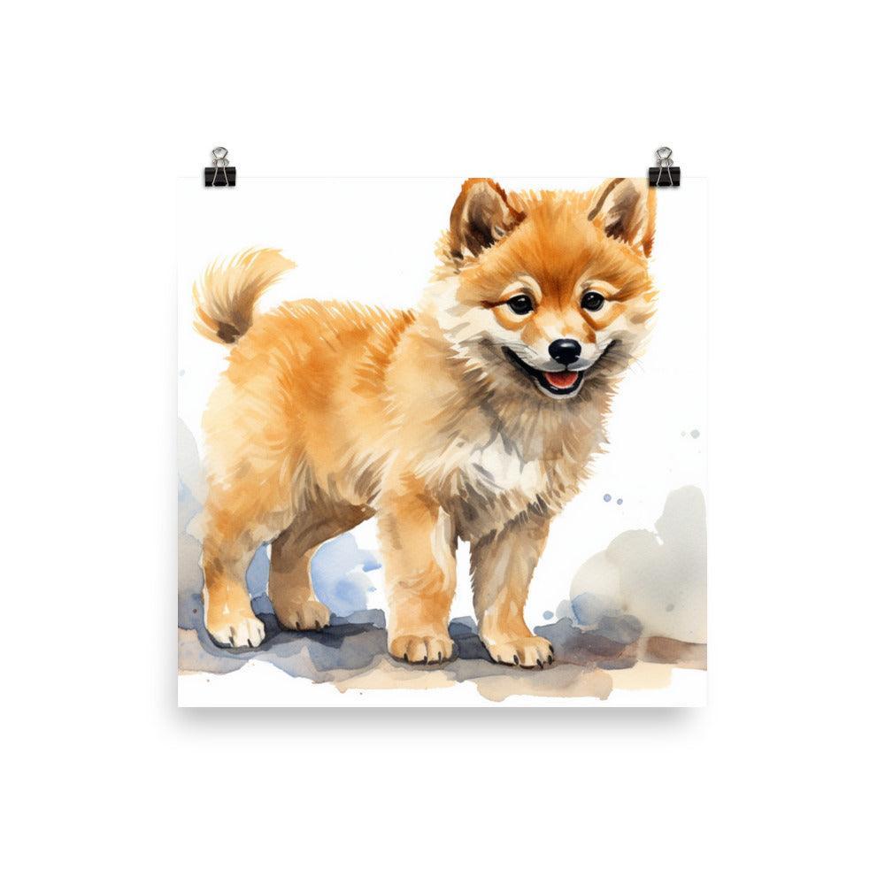 Finnish Spitz Puppy Curious Watercolor Illustration Poster - Oh Posters