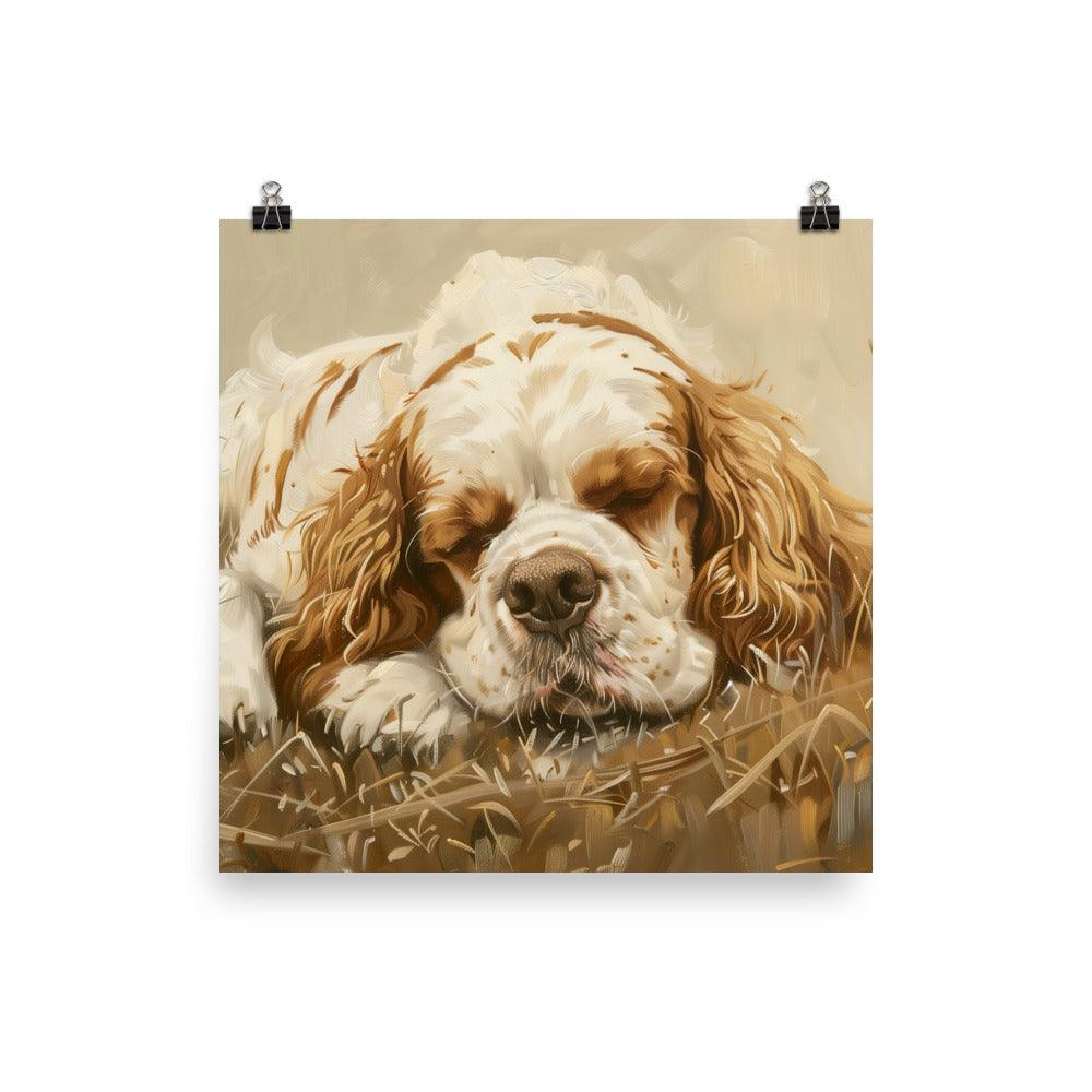 Clumber Spaniel Resting in Field Painting Poster - Oh Posters