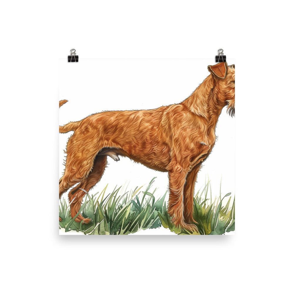 Irish Terrier Detailed Illustration Poster - Oh Posters