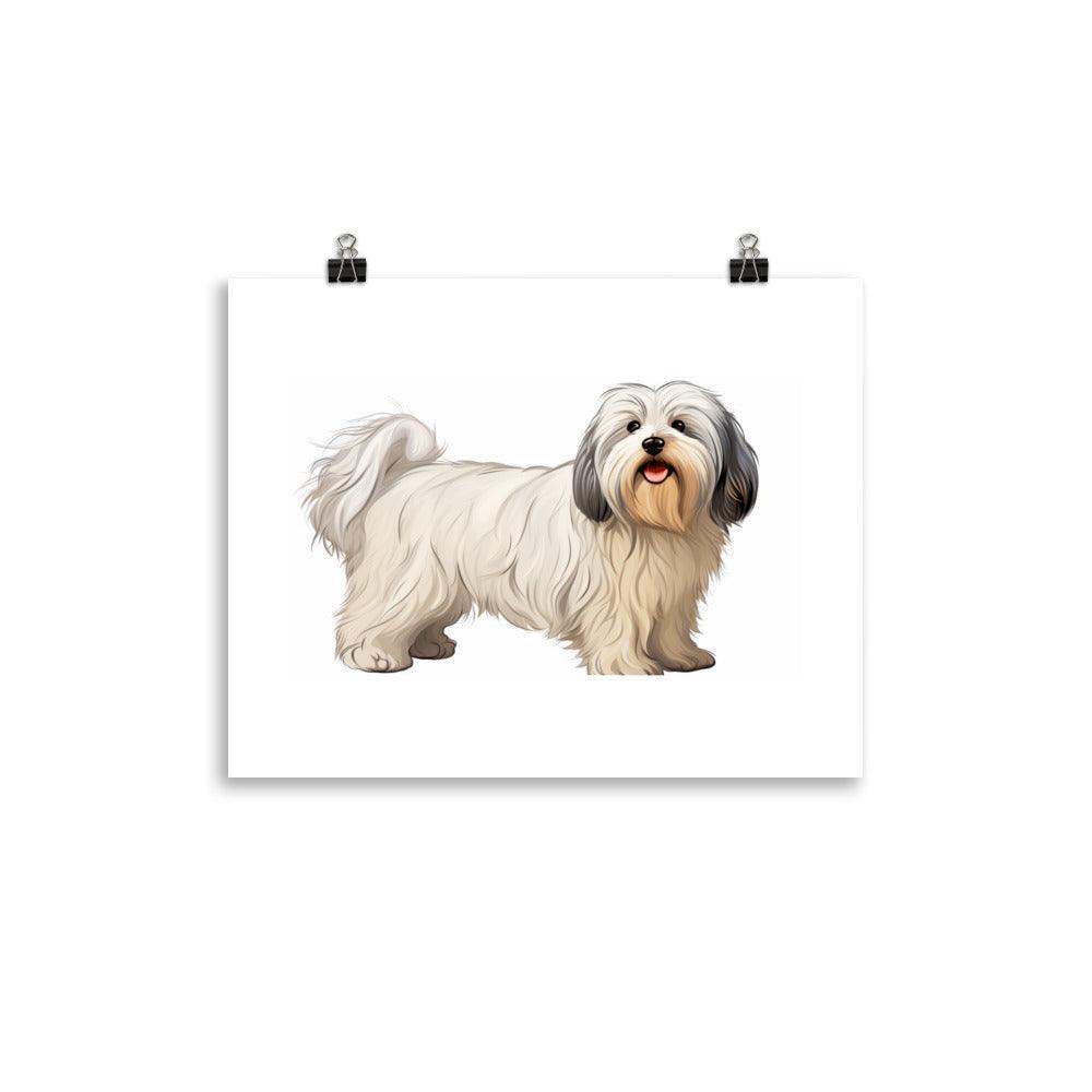 Joyful Coton De Tulear Portrait with Soft Tones and Happy Expression Poster - Oh Posters