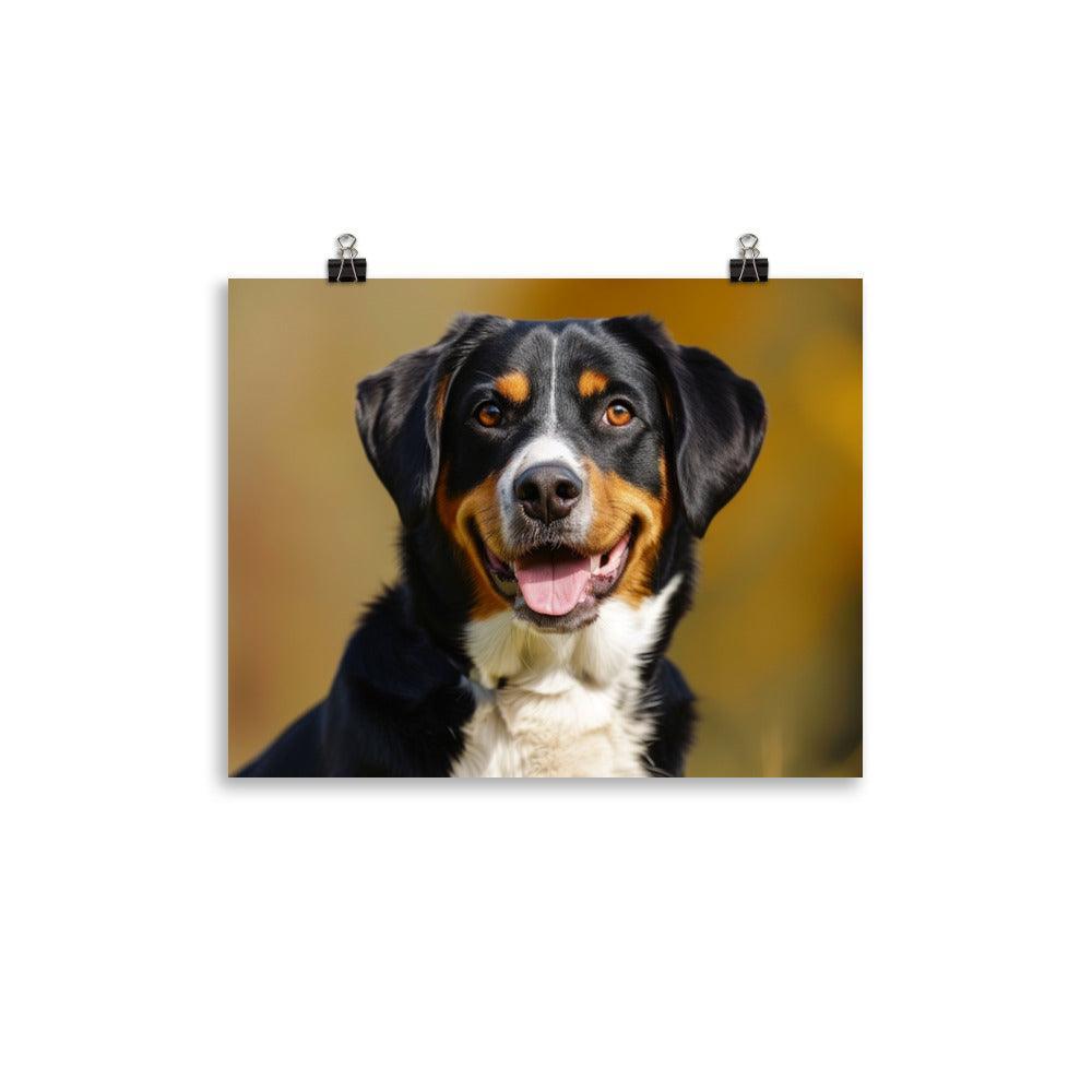 Entlebucher Mountain Dog Portrait Sunshine Poster - Oh Posters