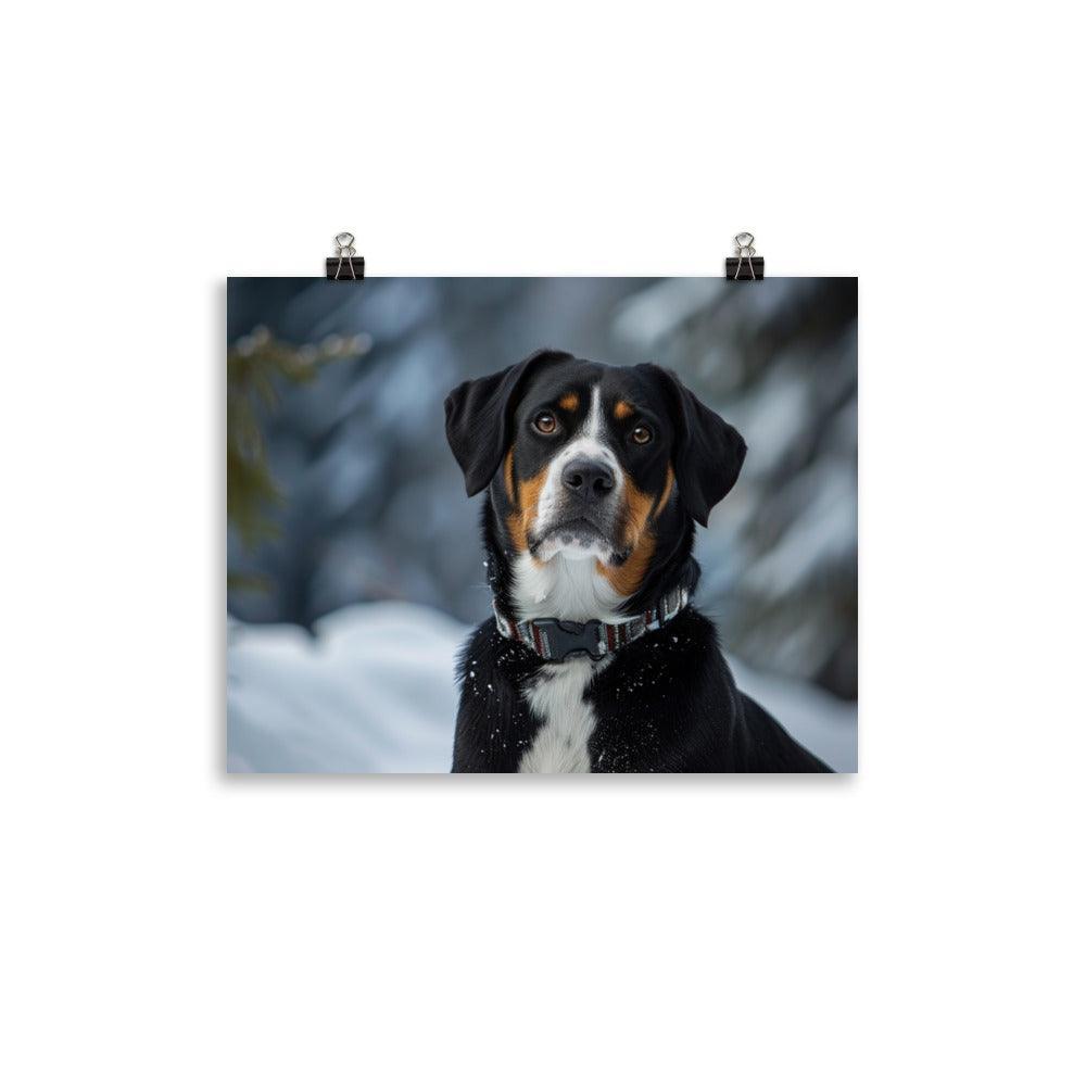 Entlebucher Mountain Dog Winter Snowfall Photo Poster - Oh Posters