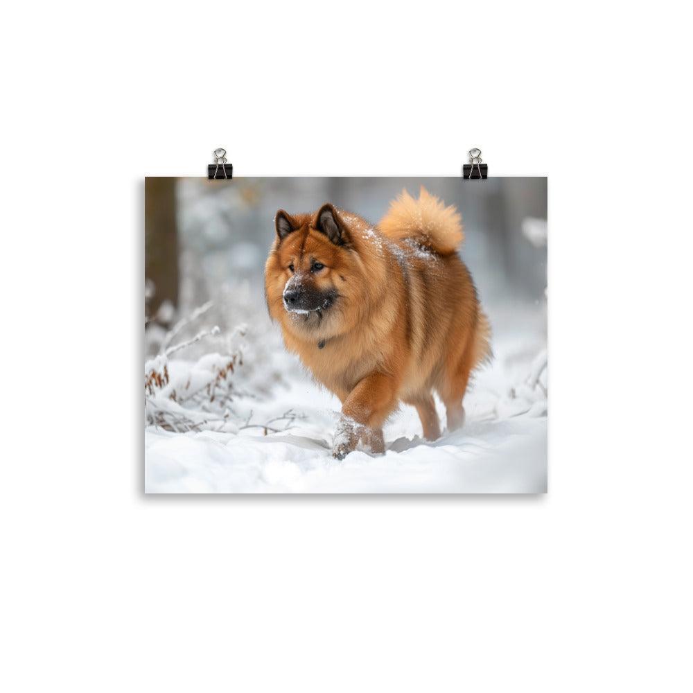 Eurasier Dog Exploring Snowy Landscape Photo Poster - Oh Posters